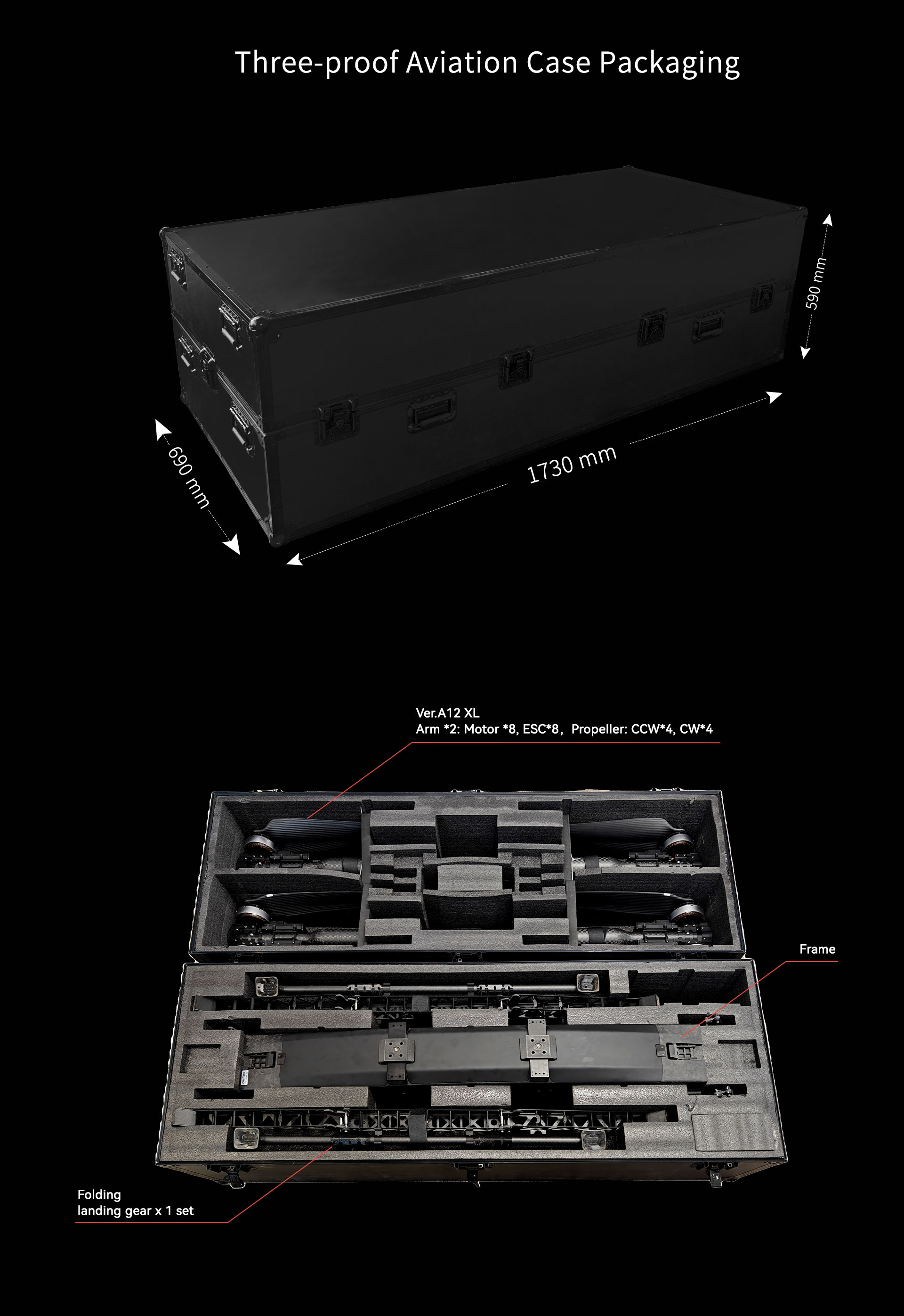 Electric Long-endurance Delivery Drone