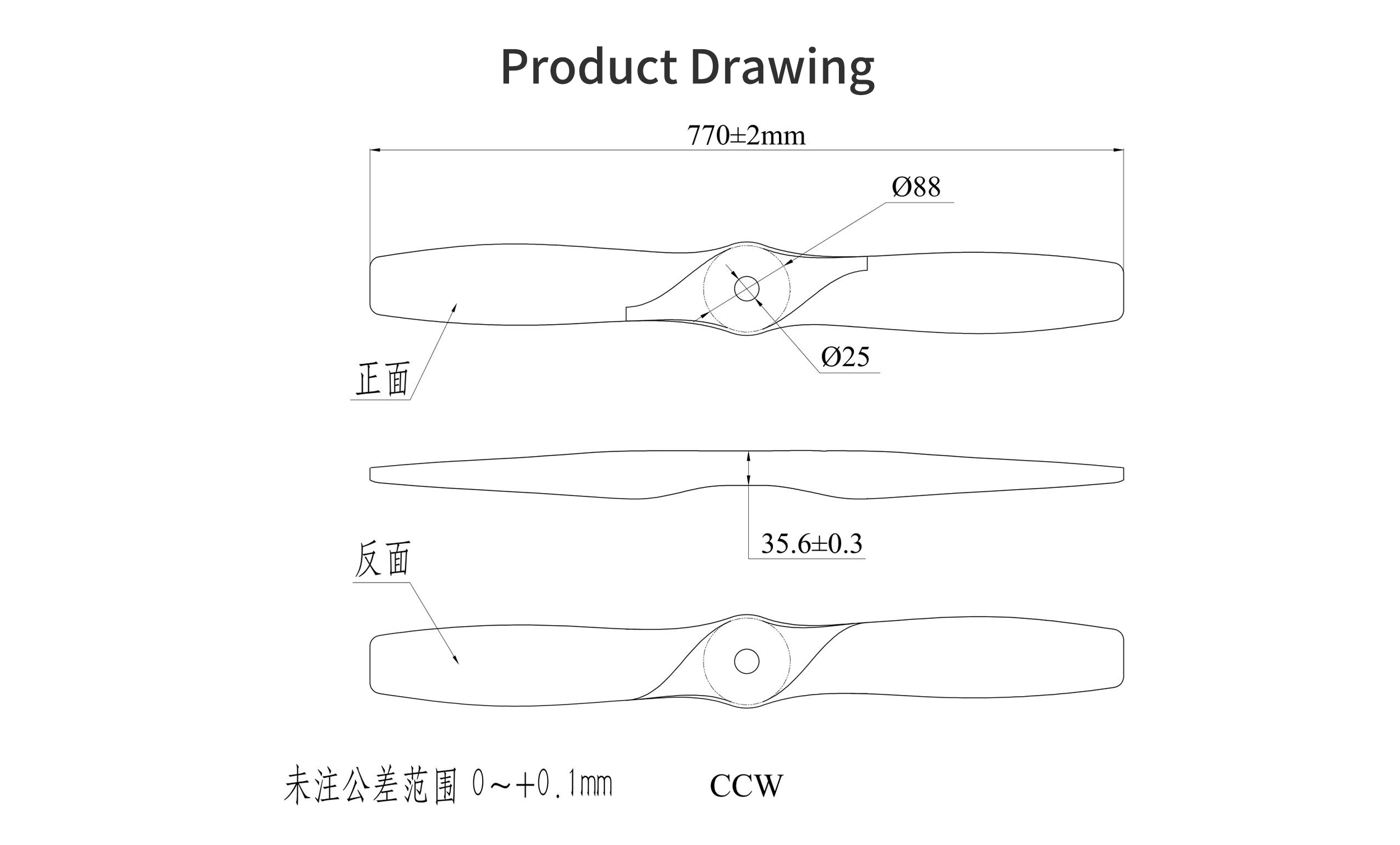 RAYI 30X21 CF Fixed Wing PROP