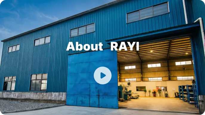 RAYI Company Introduction