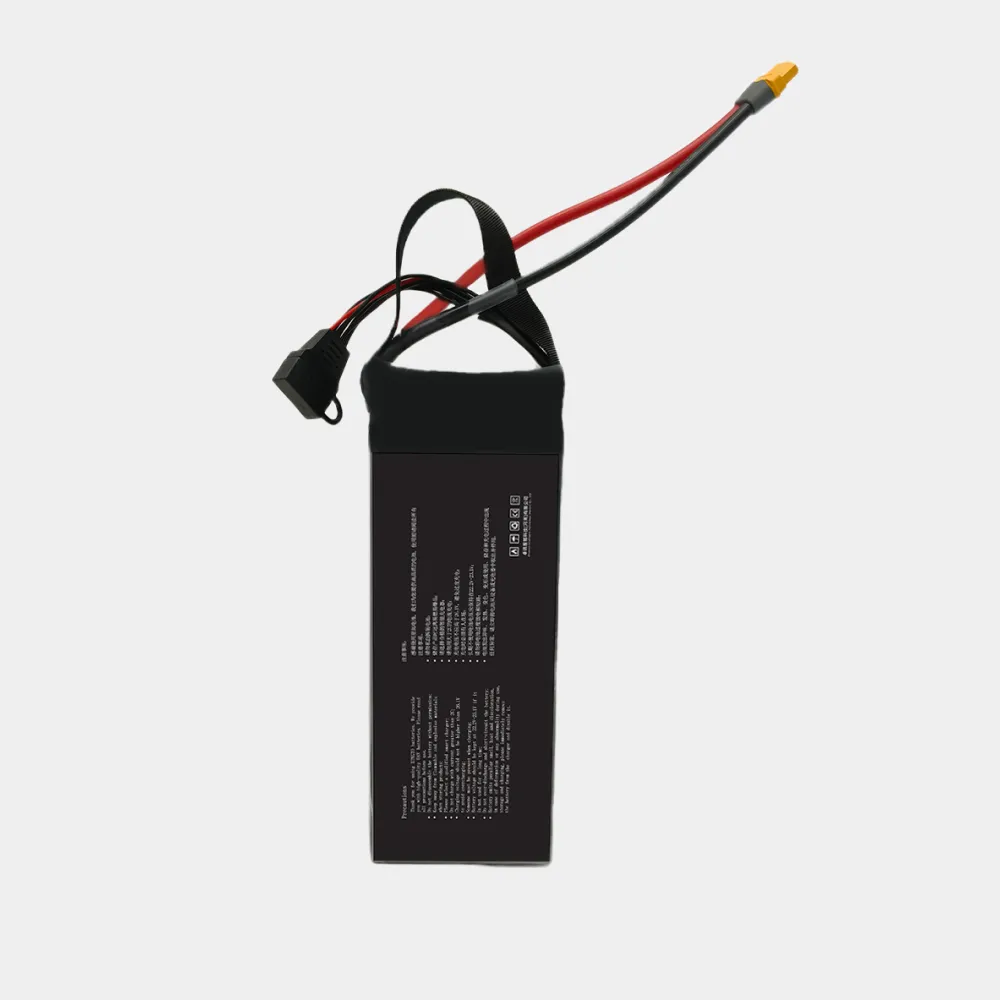 Xingtuo 6S 16Ah high-rate battery side view